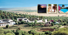 Spain-Southern Spain-Hacienda Buena Suerte
